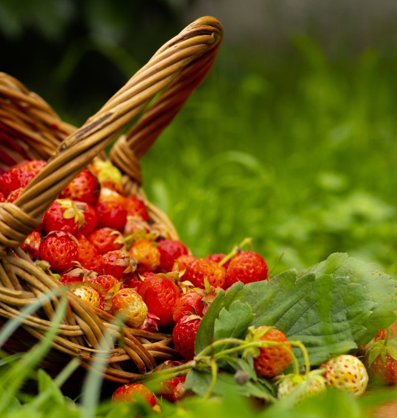 Photo by Marina Grynykha strawberries in basket